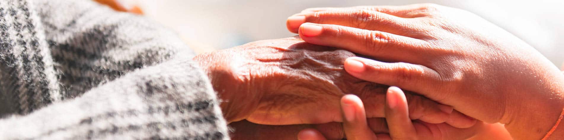 Young Hands Holding an Old Person's Hands